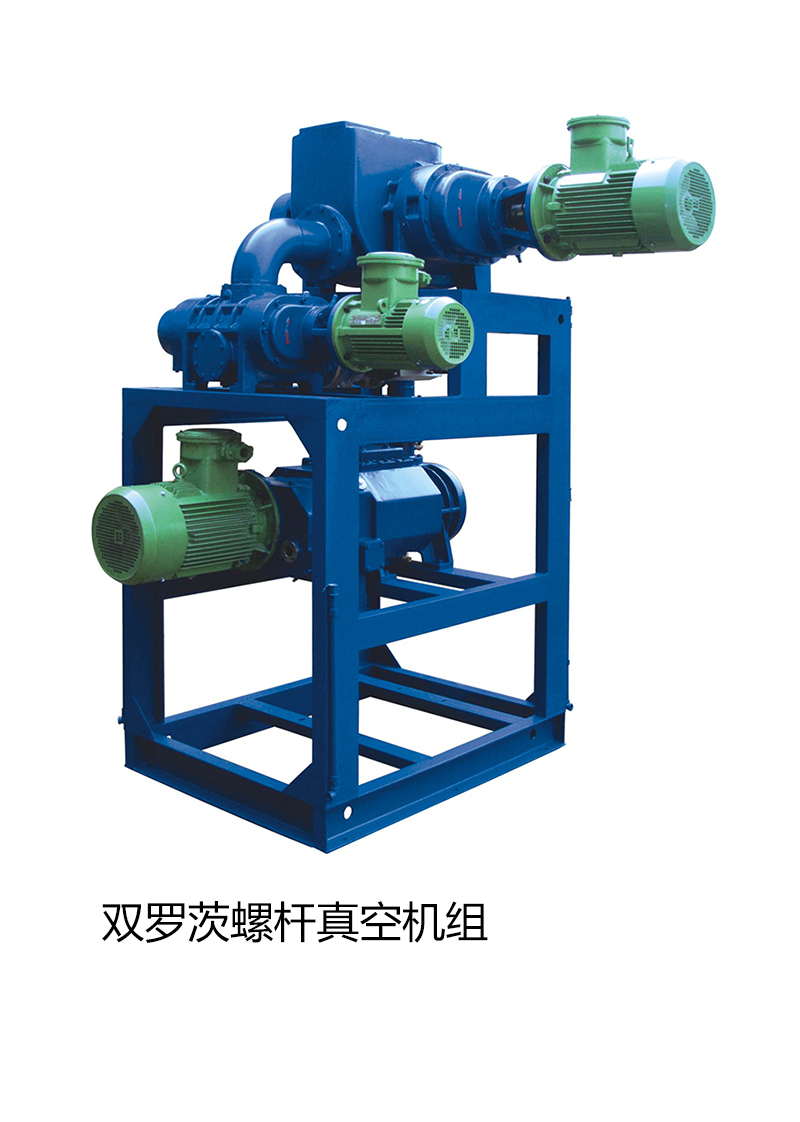   Double roots screw vacuum unit